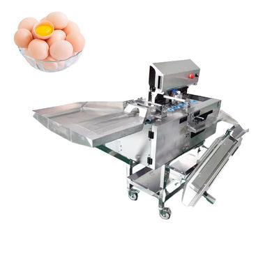 Stainless Steel Egg Separator Machine  3000pcs/H White Yolk Egg Breaking And Separating Machine