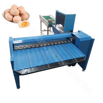 Egg Classification Machine Egg Grader Machine Egg Sorting Weight Sizing  4000/5400pcs/H