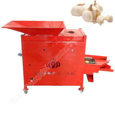 Efficient Garlic Separator Large Capacity Garlic Sorting Machine Factory Direct Sale Garlic  1000 Kg Garlic Sorting Machine
