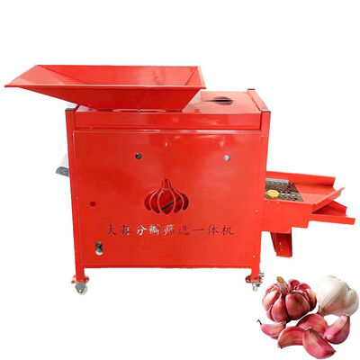 Garlic Processing Equipment For Sale Garlic Seed Splitting Machine Garlic Four-Stage Grading Equipment