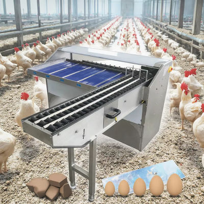 220v/380v Automatic Egg Sorting Machine / Commercial Egg Grading Machine For Sale