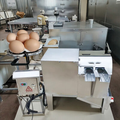 Steel Type Chicken Cleaner Washing Machine Duck Egg Brush Washer